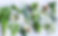 Green%20Goodness_edited.jpg