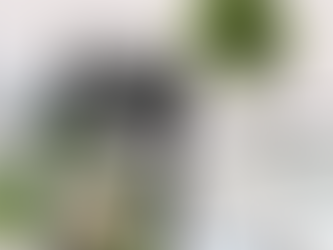 Senior Albums and Wall Art