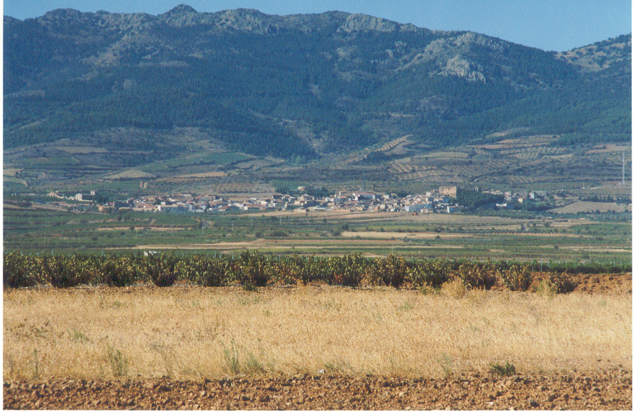 almonacid desde la carretera.bmp