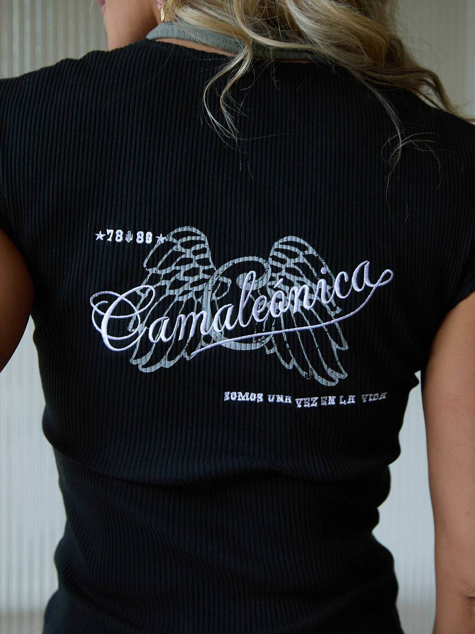 Miniatura: CAMISETA ARASARÍ CAMALEÓNICA