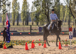 WENEV Club Champ APR 2026