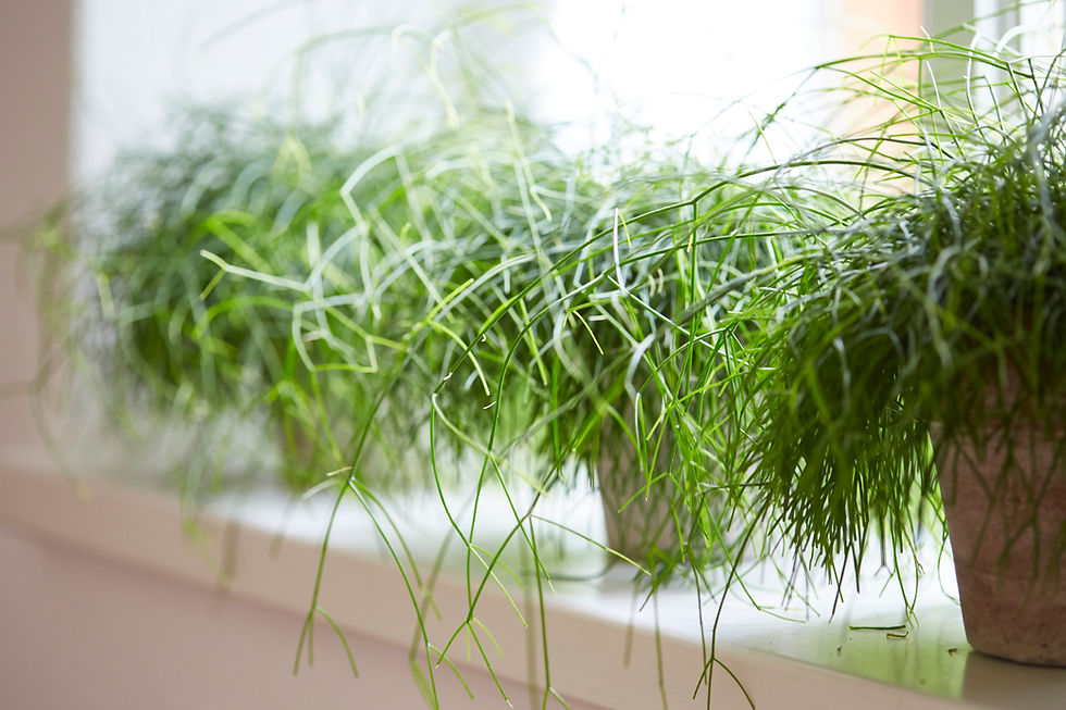 2017-06-03--14-07-07