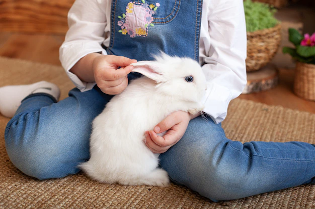 little-girl-holding-cute-fluffy-rabbit-closeup-adorable-fluffy-white-bunny-hands-child-cut