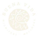 Buena Vida-4.png