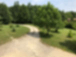 IMG_3430.jpeg