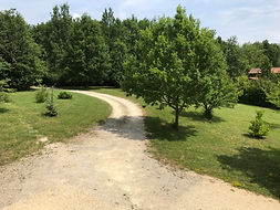 IMG_3430.jpeg