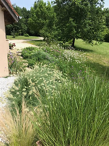 jardin