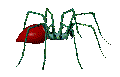 s8157.gif