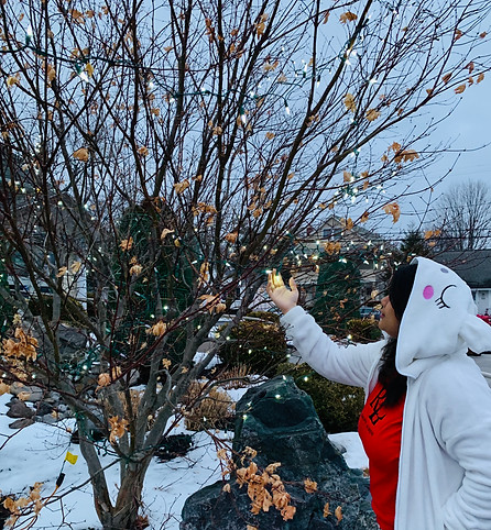 Holding string light