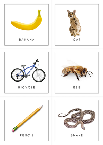 FREE Printable Descriptive Discovery Game