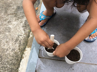planting the seeds