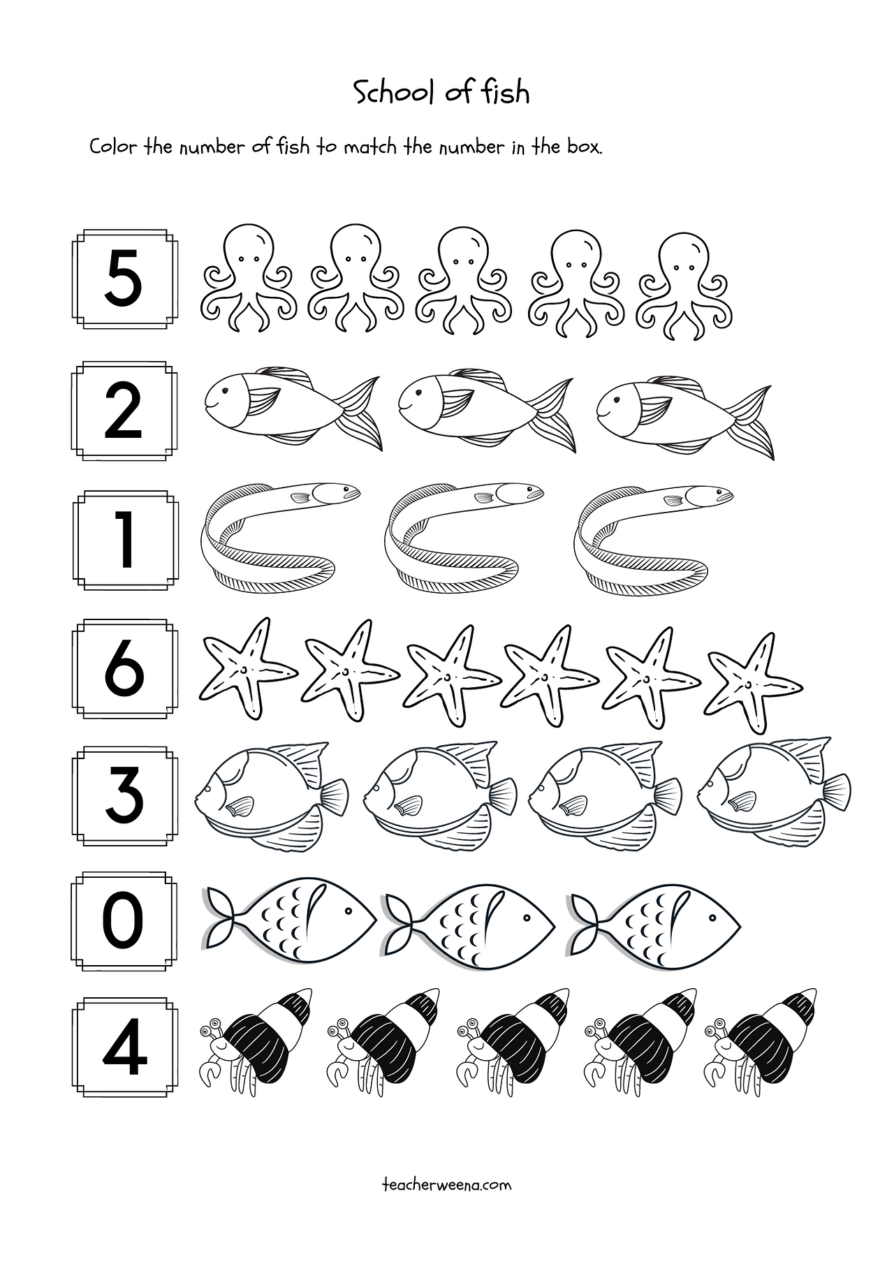 school of fish