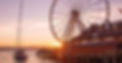 Seattle_Great_Wheel_-_photo_by_Stuart_Mullenberg_edited.jpg