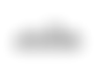 Logo of Murga Pro Painting