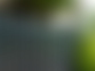 a charleston green fence