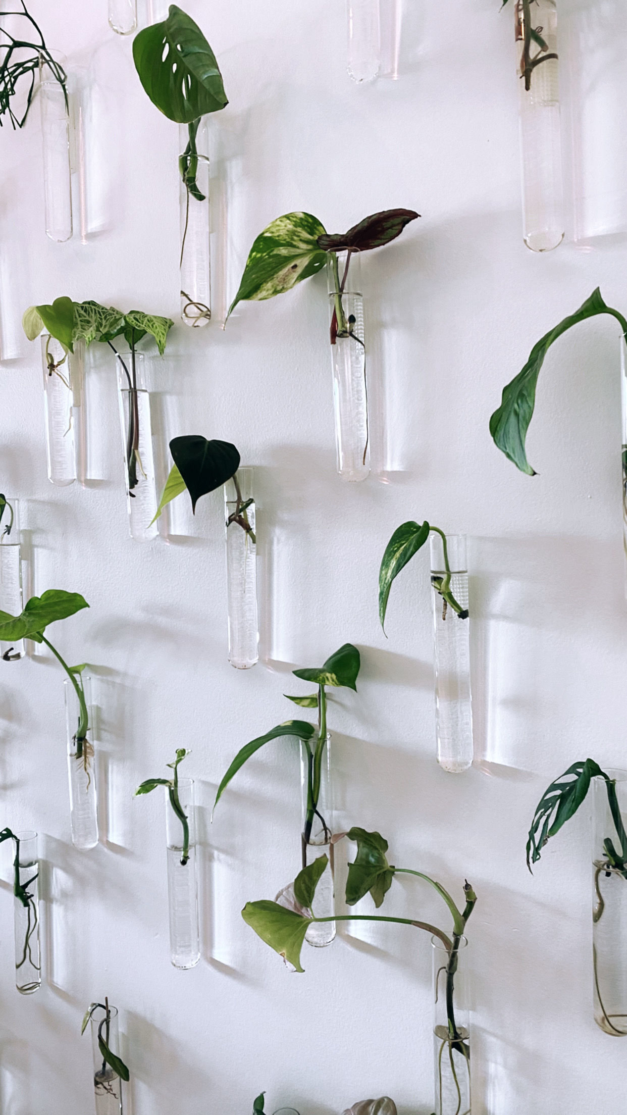 Living prop wall - Ready to use pack (ex-display