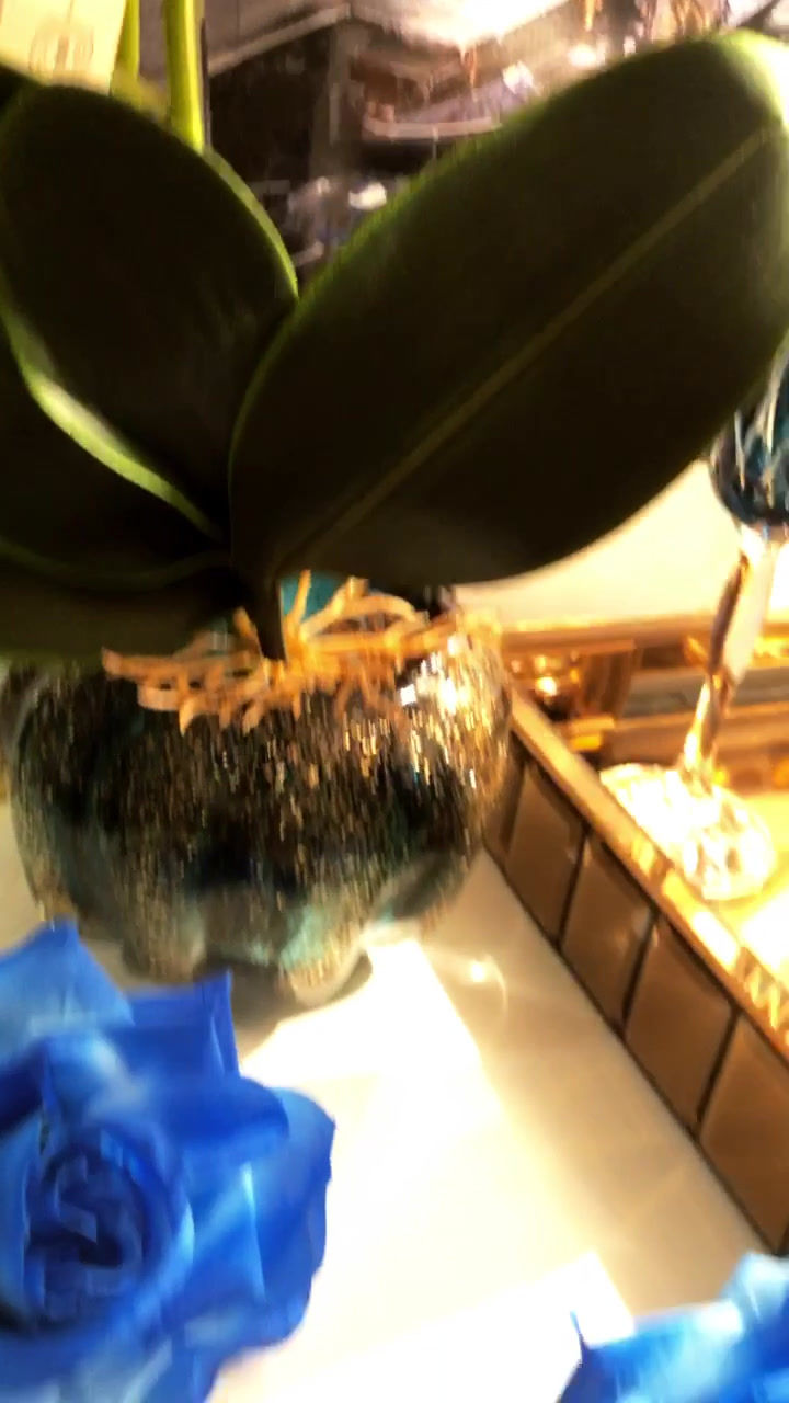 Miniatura: Arranjo de orquídea azul em vaso de murano TURQUESA