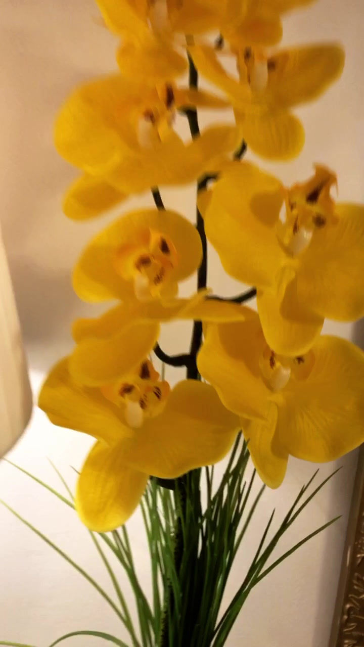 Miniatura: Arranjo de orquídea amarela trouxinha de murano ametista