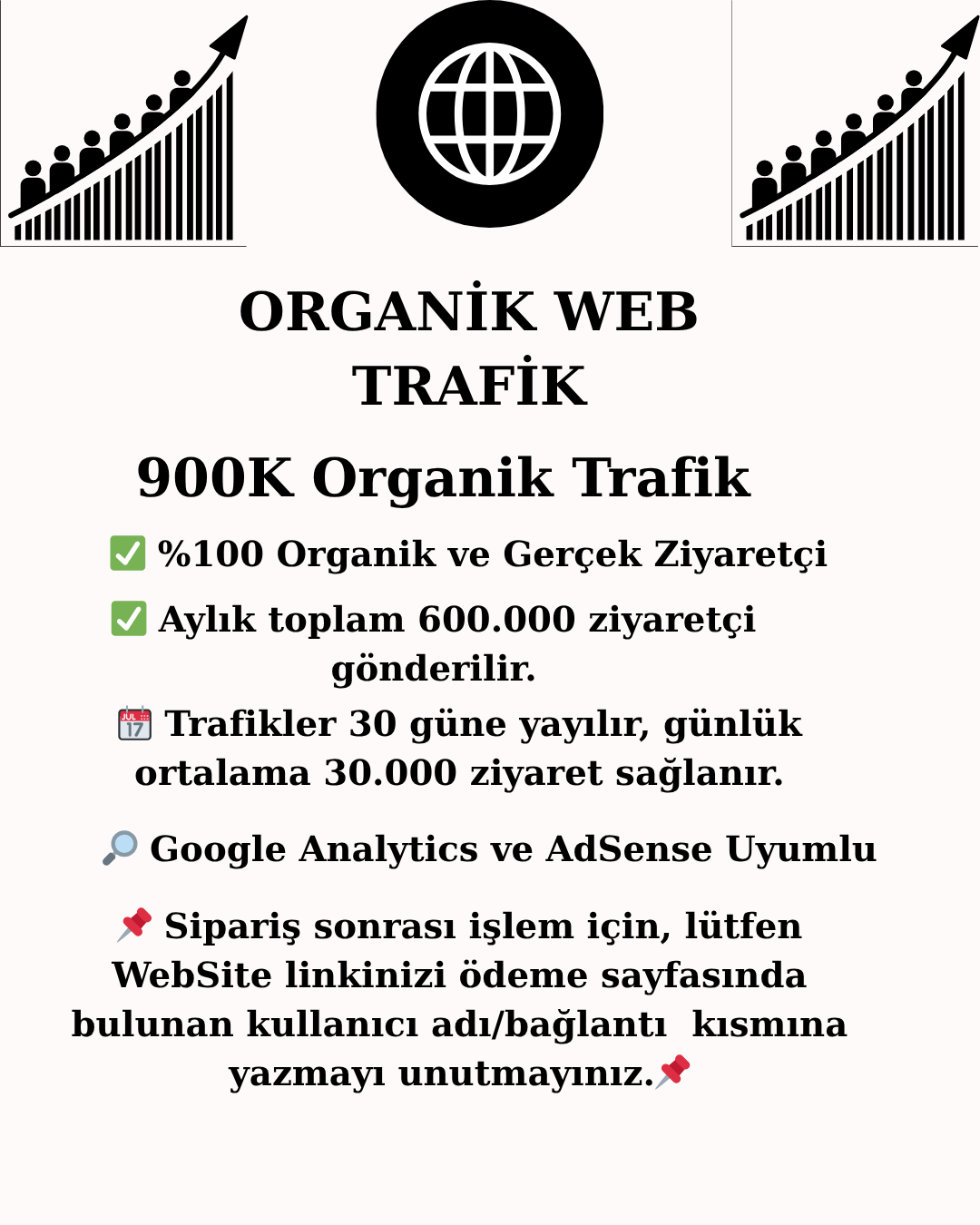 Web Trafik Aylık Organik 900K