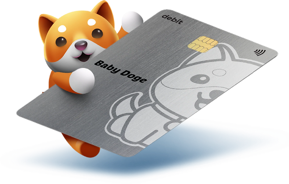 Illustration of the Baby Doge mascot holding a silver debit card branded ‘Baby Doge,’ representing the BabyDoge Card that supports crypto purchases, transfers, and fiat integration.
