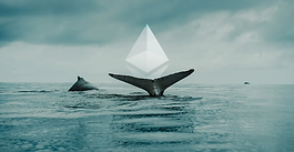 Ethereum whales bulk up on ETH holdings – What for?