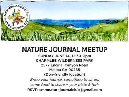 June 14 meetup