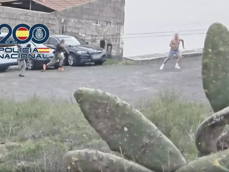 Tenerife: el increíble caso del escurridizo prófugo polaco que cayó por pasear al perro 