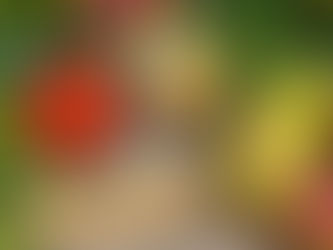 La bioagricultura que podrĂa complicar a LatinoamĂ©rica