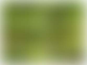 A 35 años del mejor gol de todos los tiempos