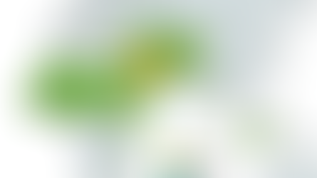 La otra pelea en medio de la guerra: las diferencias eternas entre chiitas y sunitas