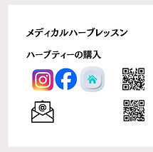 Pala’auQｺｰﾄﾞ裏_edited.jpg