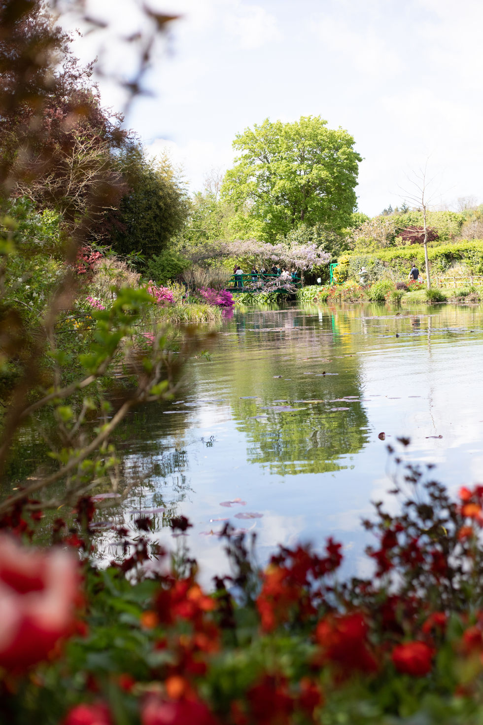 Lily Pond at Giverny