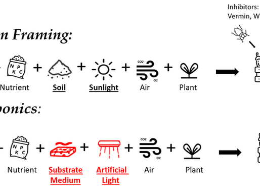 What is the different between Hydroponics & Tradition Farming? 
