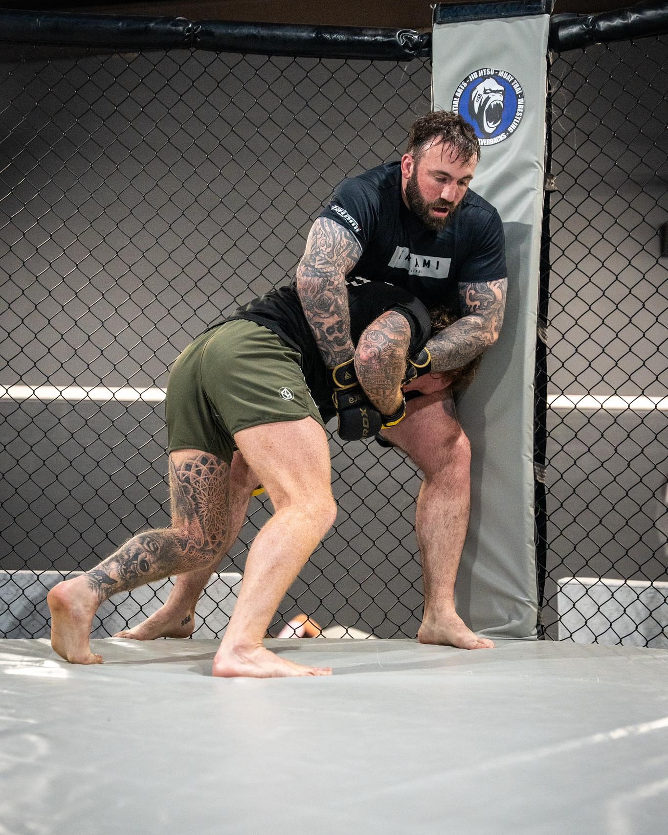 Silverbacks BJJ & MMA photo