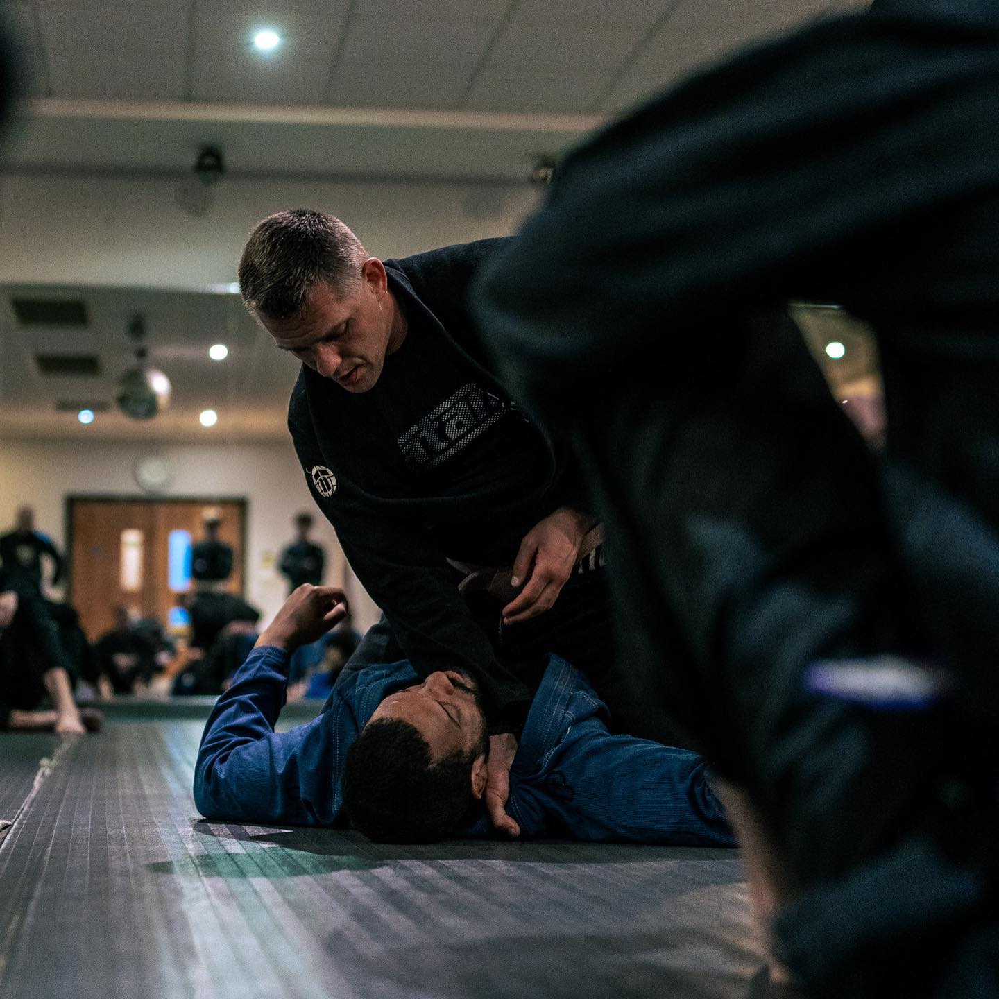 Silverbacks BJJ & MMA photo