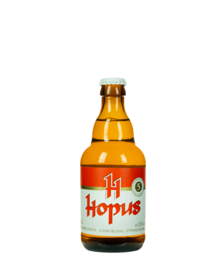 Carton Hopus 0,33l