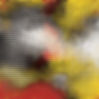 red and yellow and white and black halftone pattern background .jpg