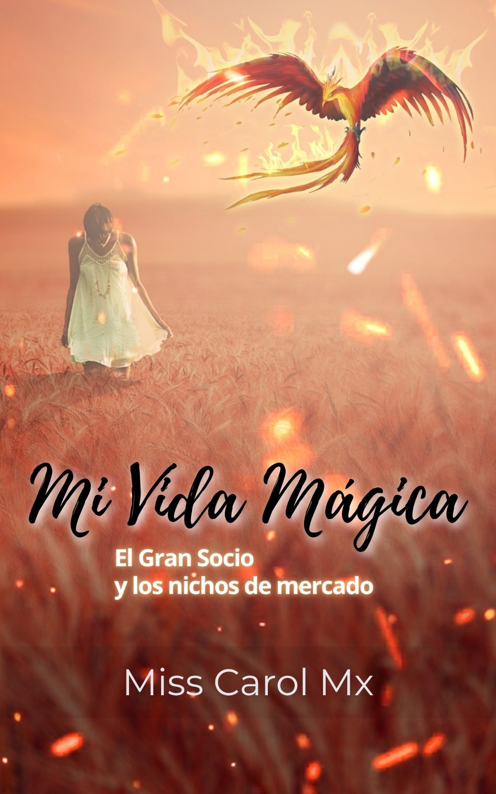 Portada de Mi Vida Mágica: El Gran Socio y los nichos de mercado