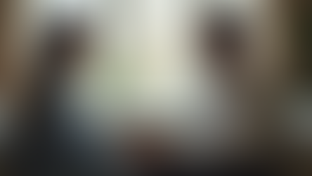 Personal Counselling Sessions for Individuals & Couples