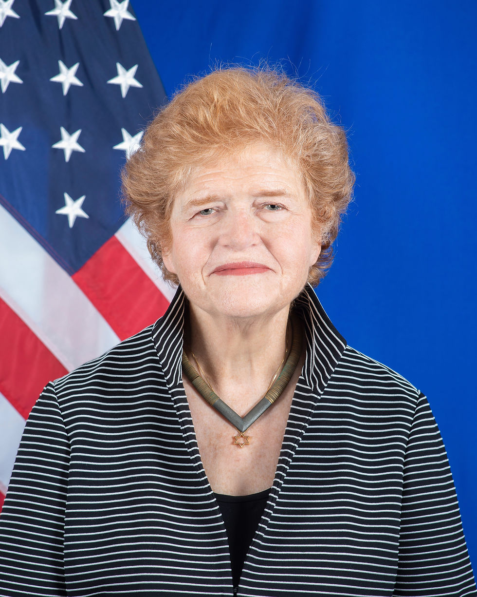 Lipstadt's Official Portrait as US Special Envoy