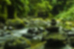 pexels-pixabay-219932.jpg