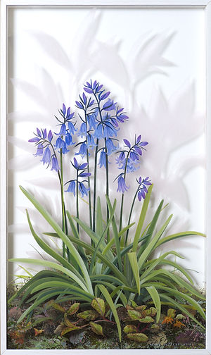 5bluebells.jpg