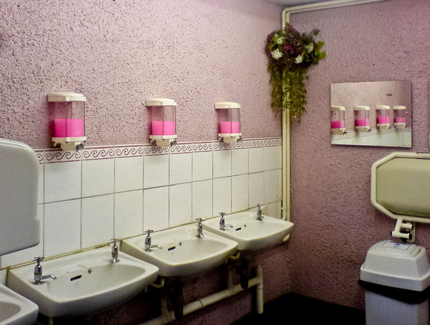 pink loosDSC00291.jpg