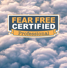 Julie Séférian Fear Free certified Professional
