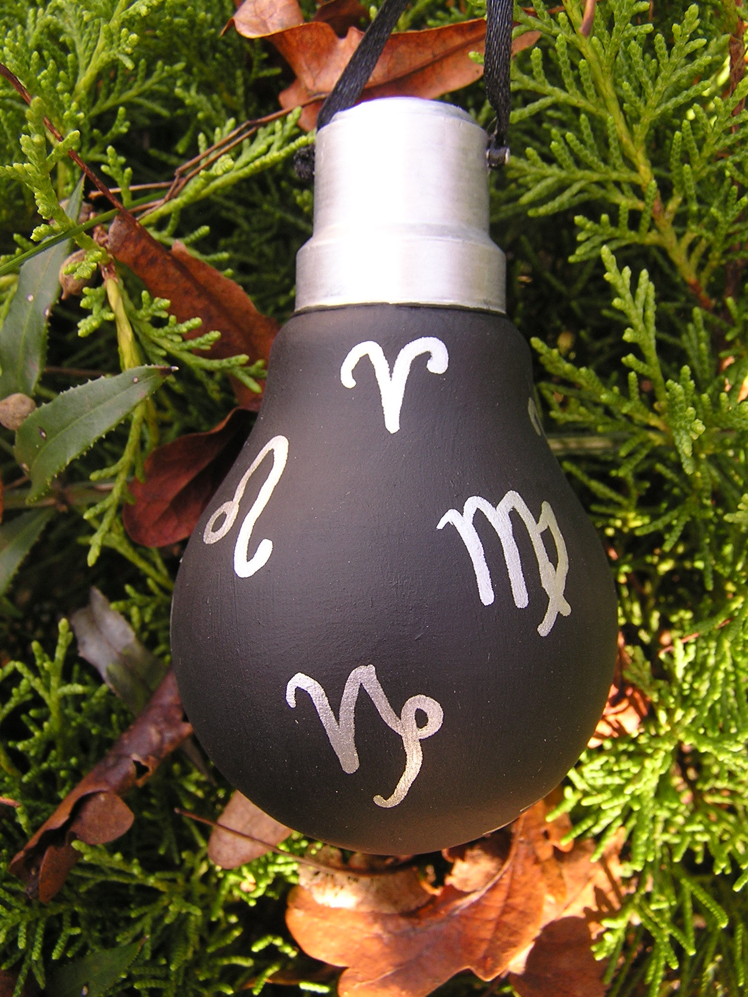 Boule de Noël "Signes astrologiques"