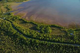 francis hilb preserve aerial image for website.001.jpeg
