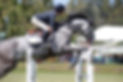B7E7A528-976D-41EB-9EB0-7117CCC043F6.JPG