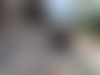 Man in Frankfurt Says 10-Minute Delivery in India Feels Like ‘Teleportation’ to Germans