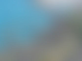 The Mumbai Coastal Road Expansion: Balancing Concrete and Conservation