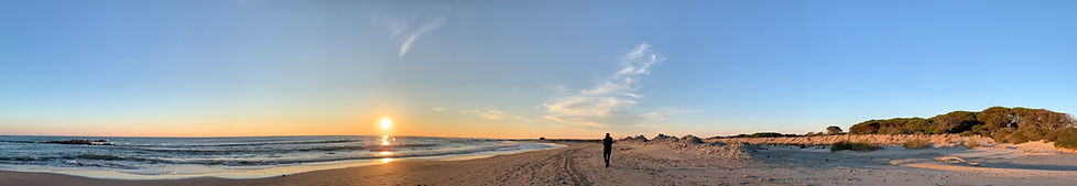 IMG_9268.jpg